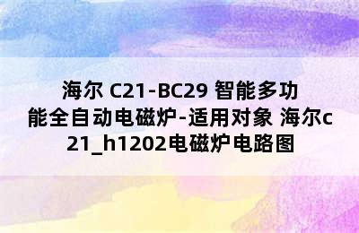 Haier/海尔 C21-BC29 智能多功能全自动电磁炉-适用对象 海尔c21_h1202电磁炉电路图